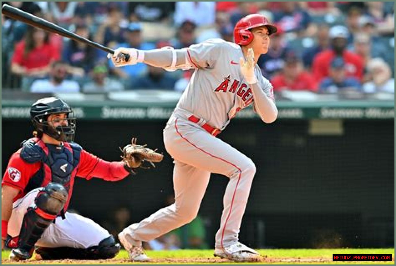 Age, Height, Family, And The Making Of A Baseball Star