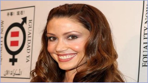 Shannon Elizabeth Plastic Surgery Before and After