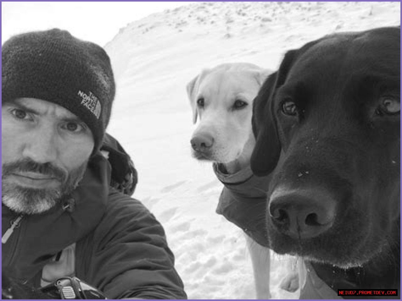 Understanding Andrew Cotter's Illness: A Journey Through Challenges